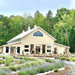 Lavender Oaks Farm