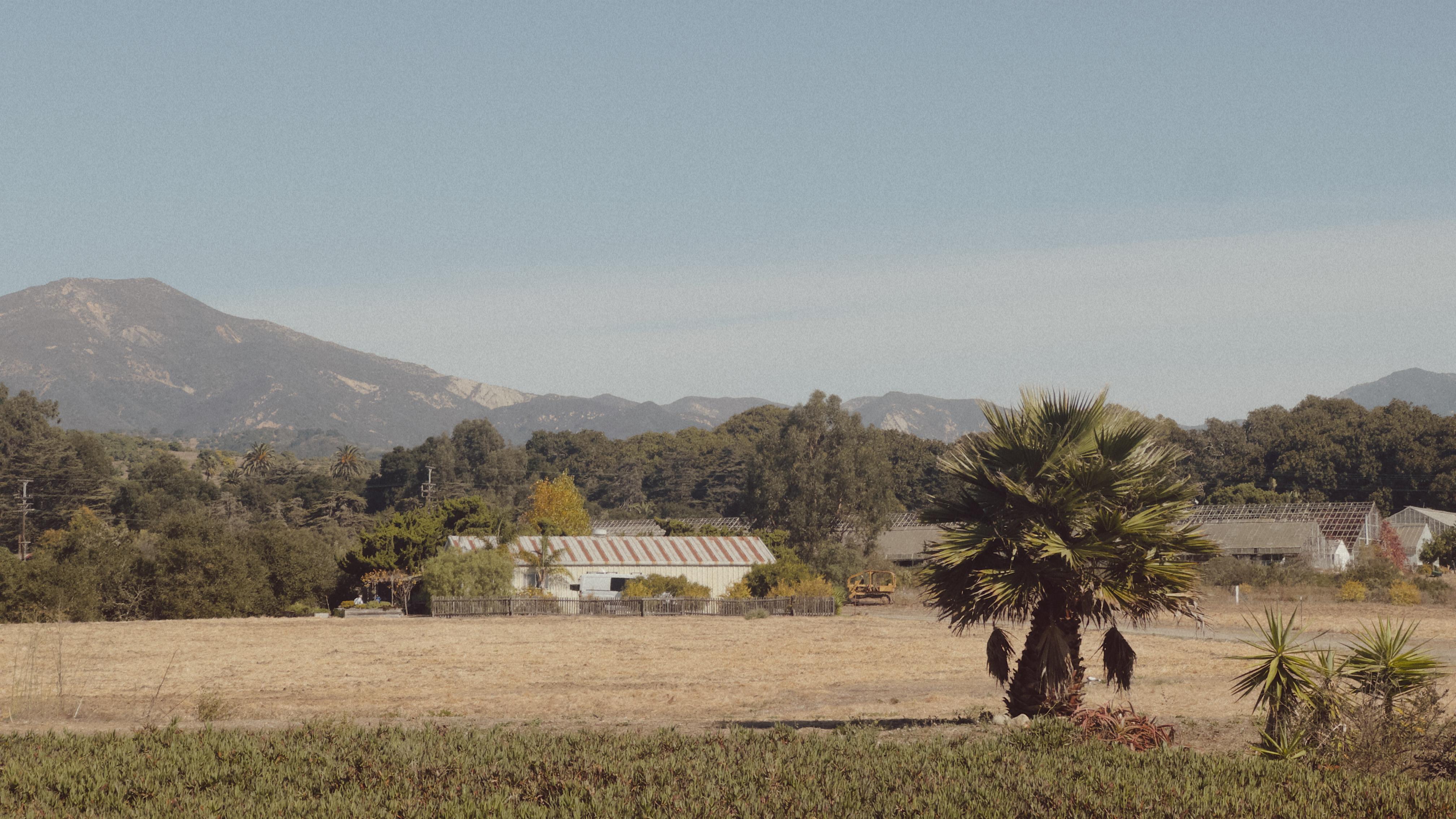 The Wedding Website of Meghan Toomey and Peter Moran