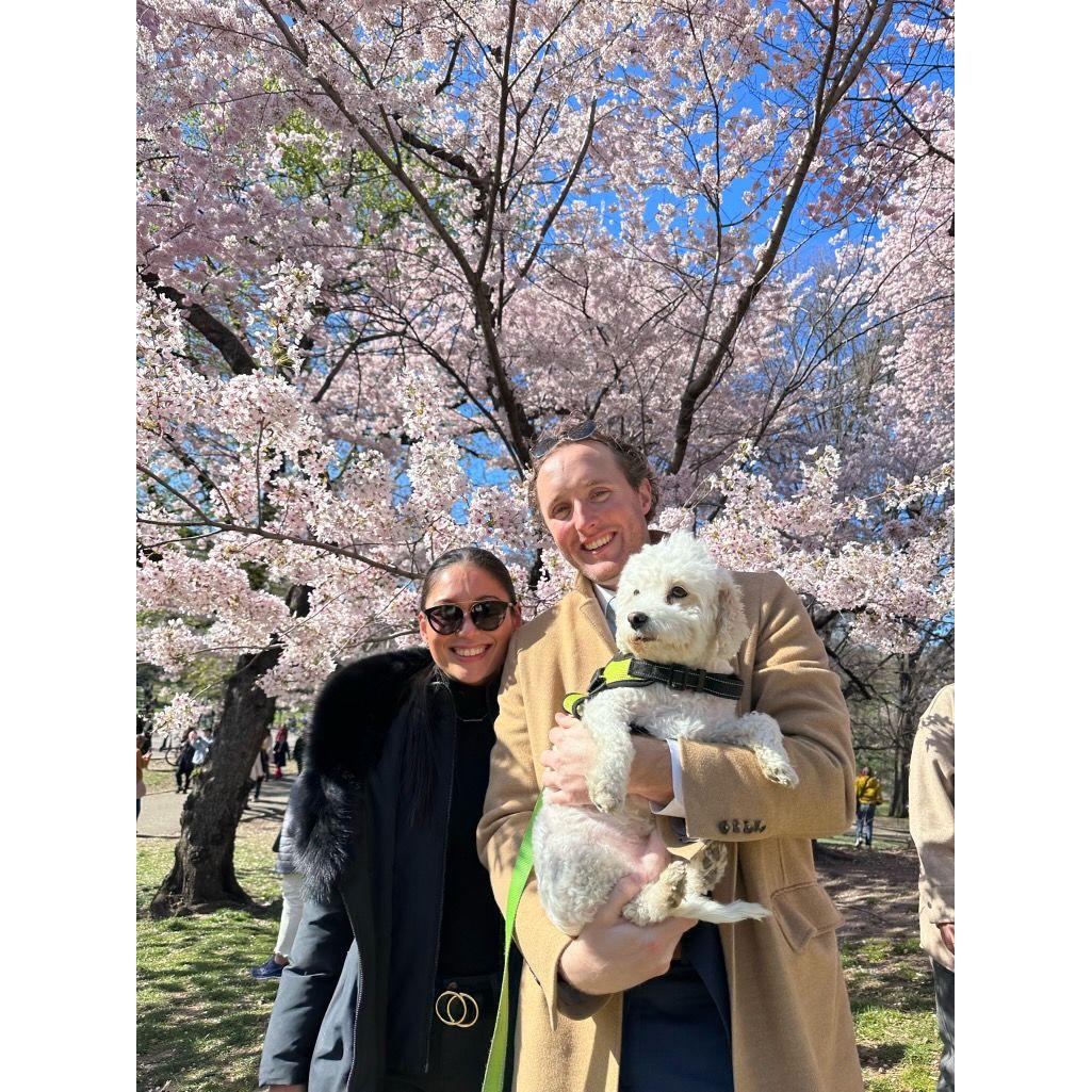 Easter Sunday Central Park