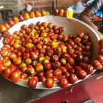 Street Food Tour / Tour de Comida Callejera