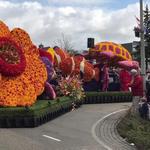 Flower Parade