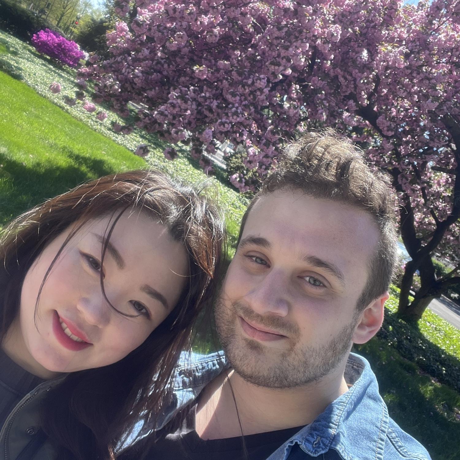 Cherry Blossom Festival in D.C. 2024