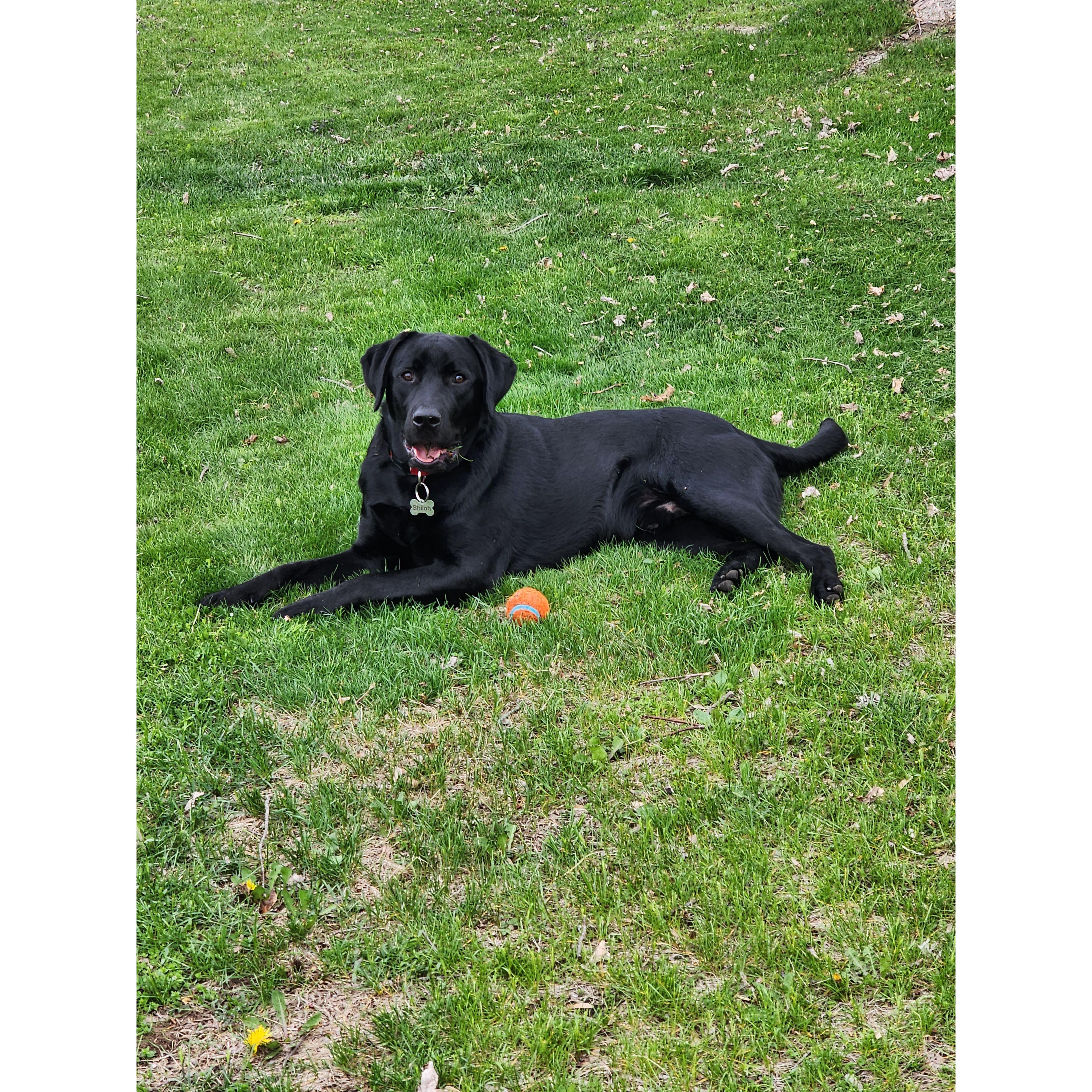 Shiloh