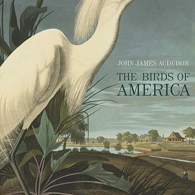 The Birds of America