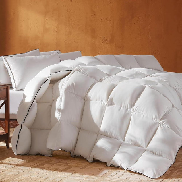 Richtry Goose Feather Down Fiber Cotton Comforter Queen Size, Ultra-Soft Duvet Insert, Hotel Collection White Quilted Comforter, All Season Bedding Comforter with 8 Corner Loops, 90x90 Inch