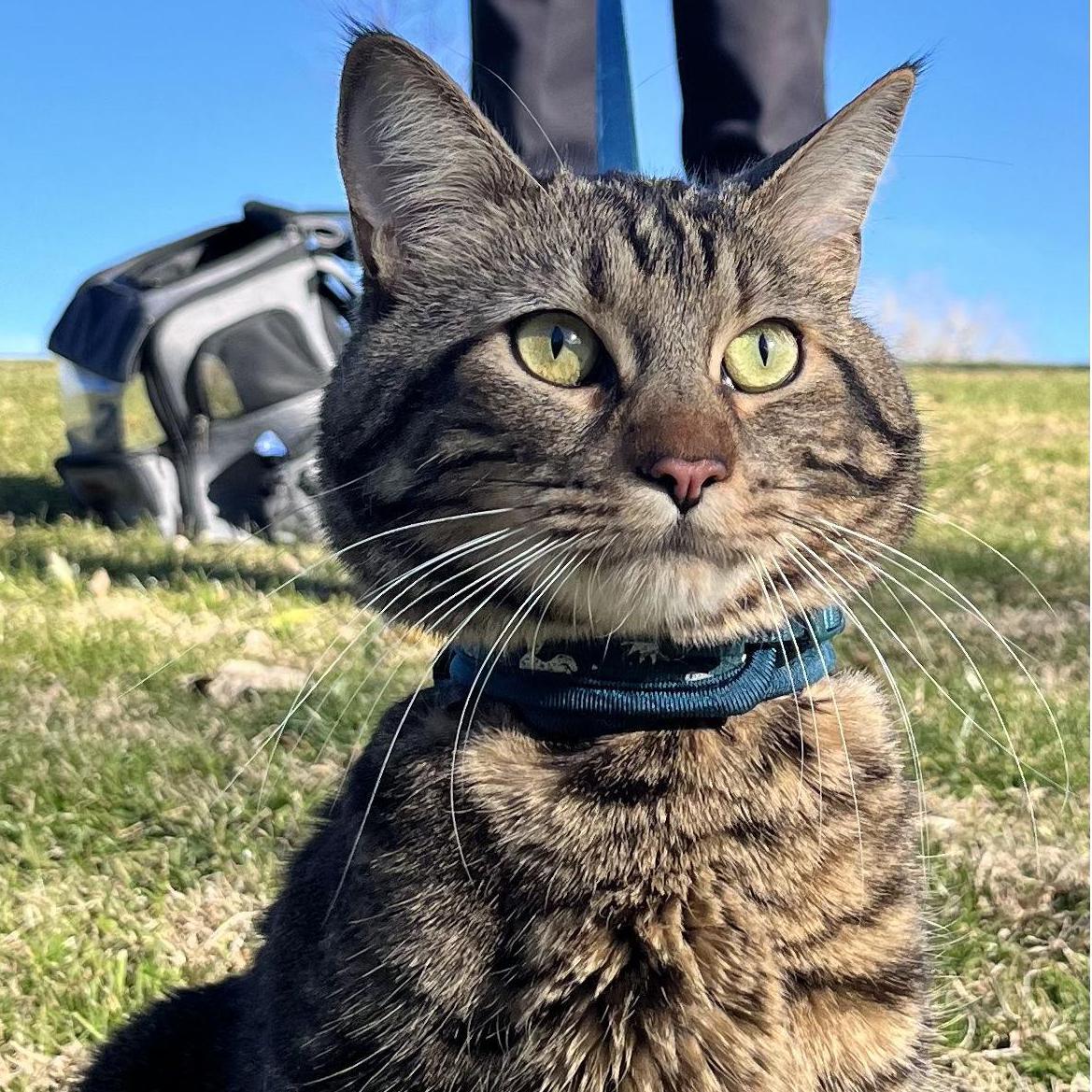 Our beautiful boy, Rico