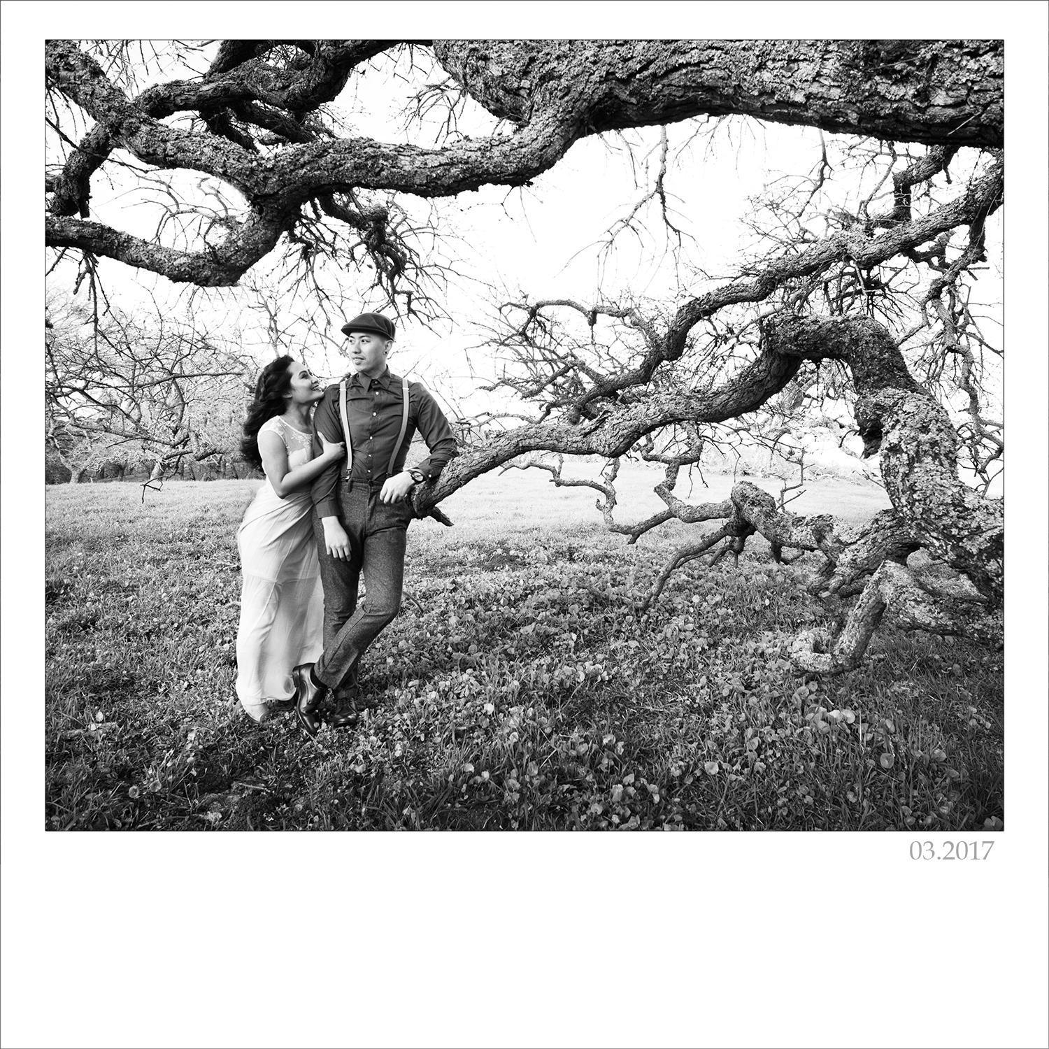 Our annual photo shoot. 

Briones Regional Park.
Regional park in Contra Costa County, CA.