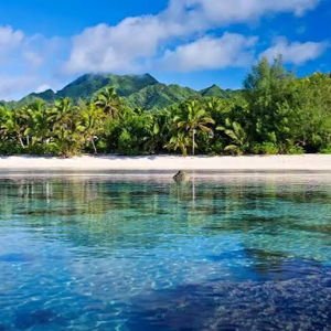 Honeymoon Cruise Excursion - Cultural Beach Experience in Rarotonga, Cook Islands