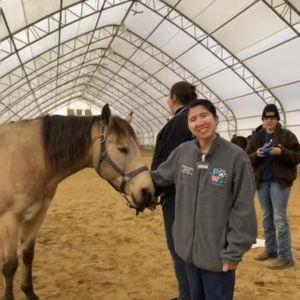 Horse Fund (Martha)