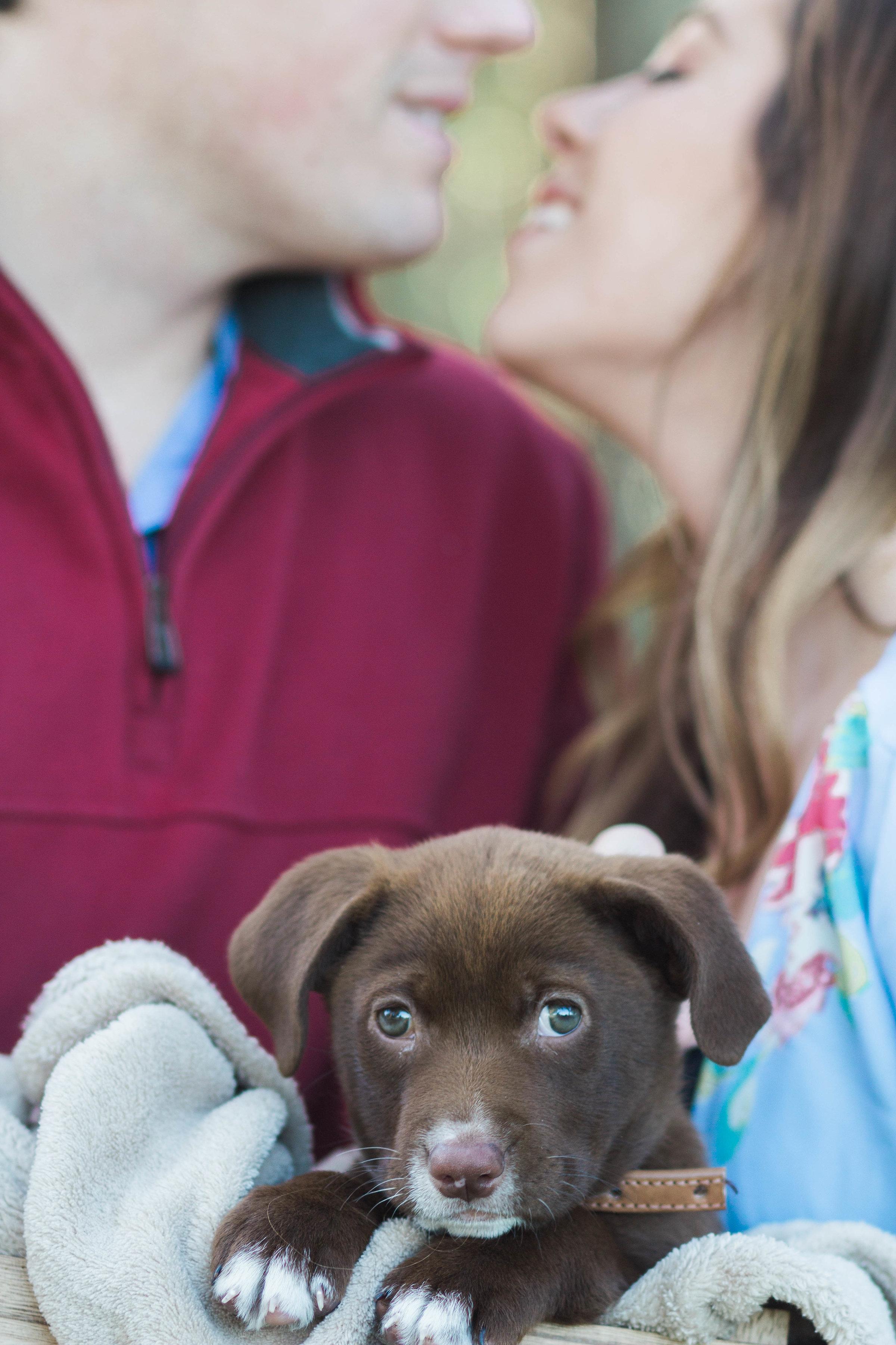 The Wedding Website of Carly Elder and Jordan Schrader