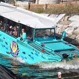 Duck Boat Tours