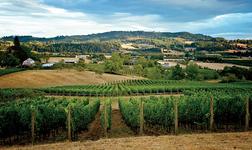 Willamette Valley Wine Country