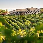 Doffo Winery