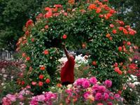 Municipal Rose Garden