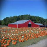 Honeysuckle Hill Farm