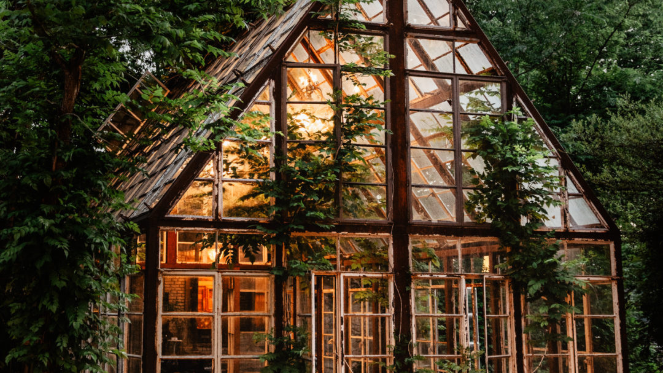 The Wedding Website of Thomas McAllister and Kelsea Rittenberry