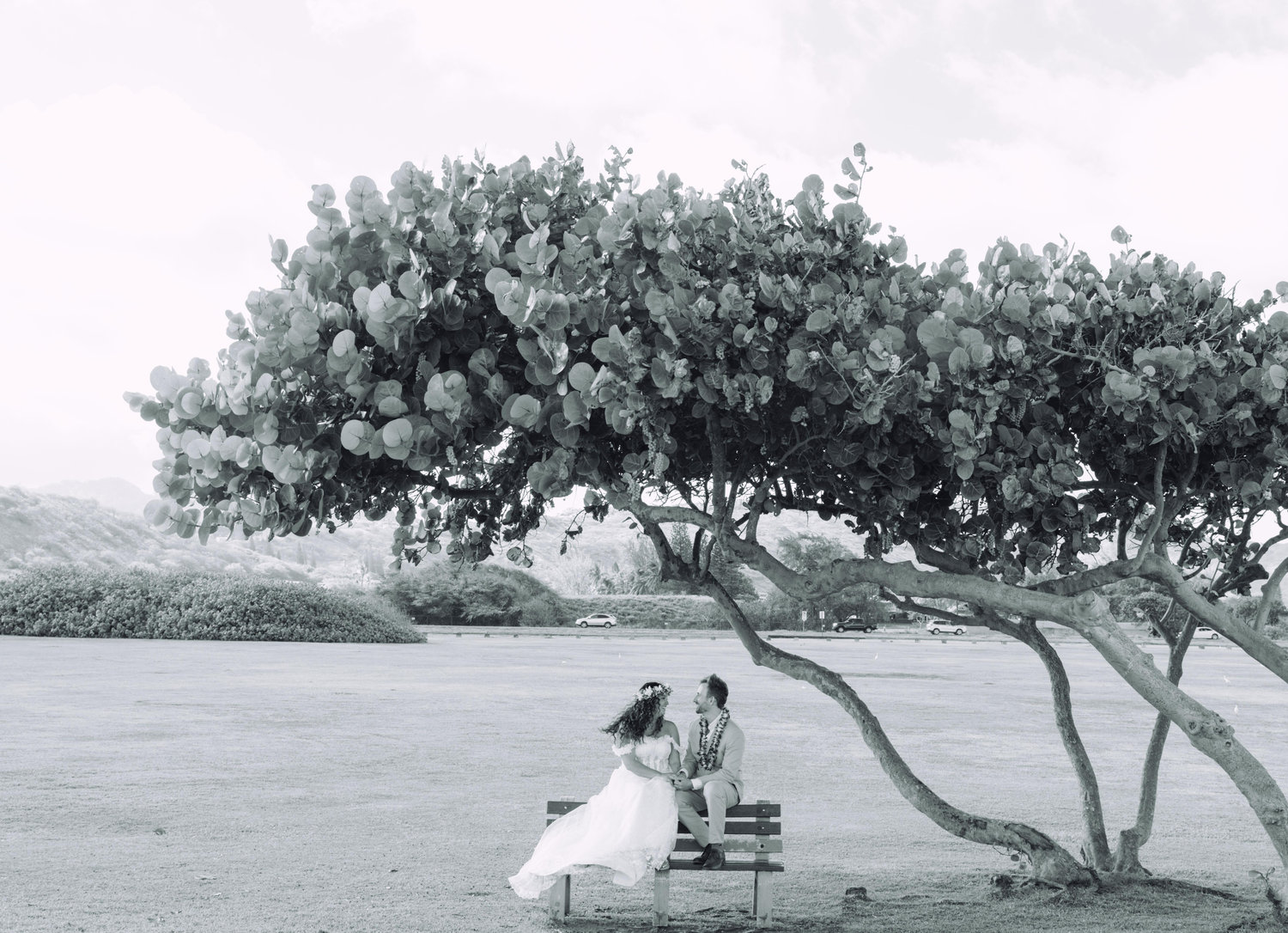 The Wedding Website of Debbie Martinez and Nate Webb