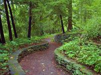 North Carolina Botanical Garden