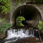 Corbett's Glen Nature Park