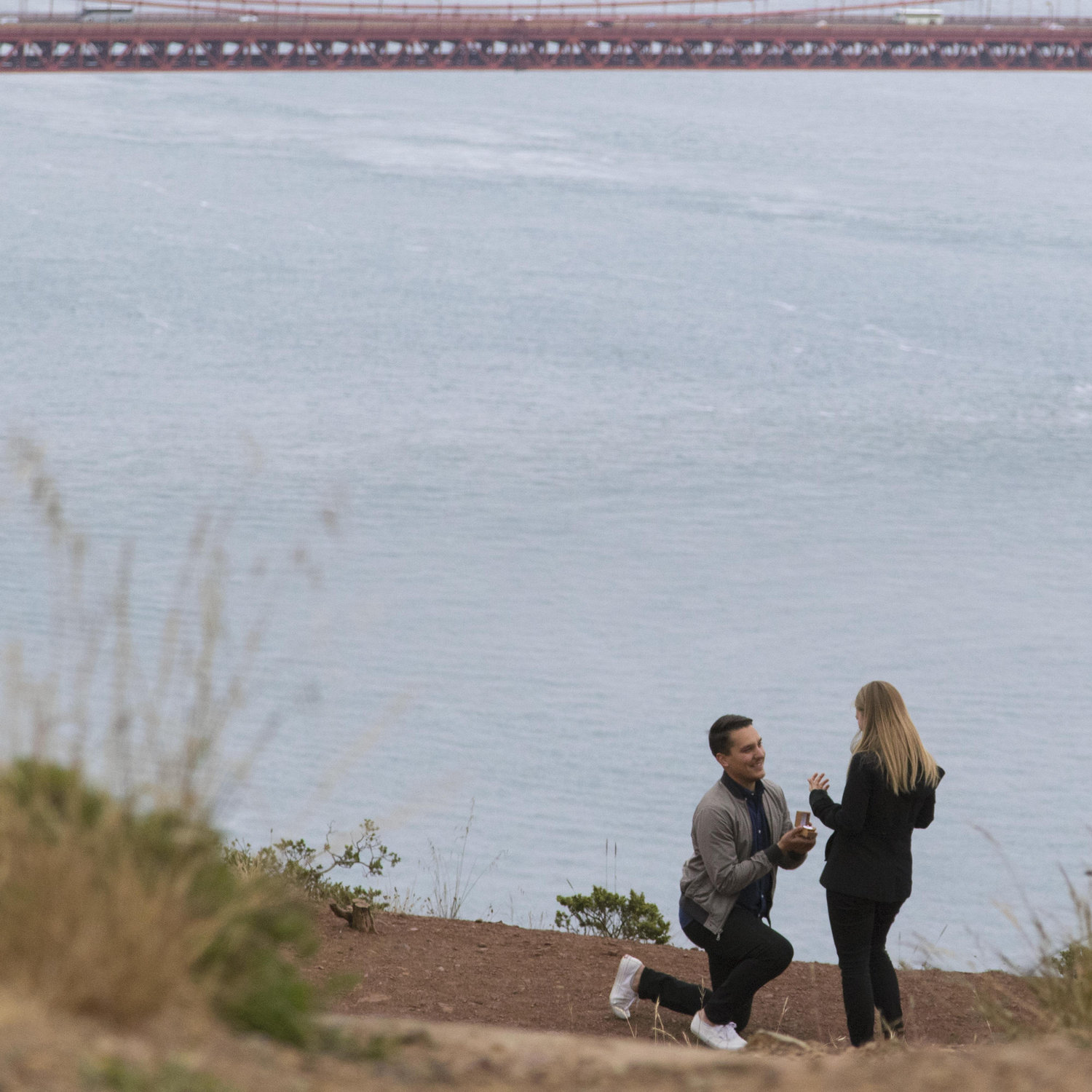The Proposal