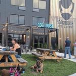 BrewDog DogTap Columbus