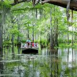 Cajun Encounters Tour Company
