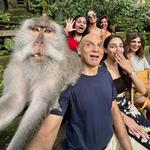 Sacred Monkey Forest Sanctuary