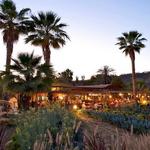 Flora Farms