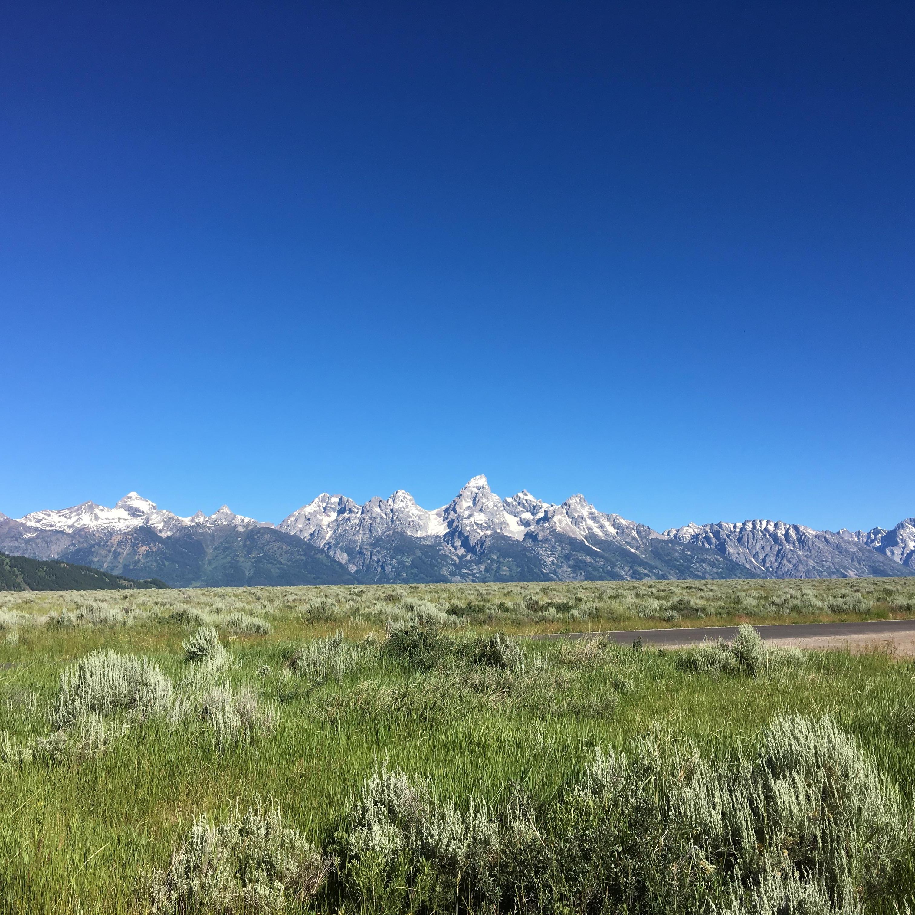 Camping in Jackson Hole, Wyoming