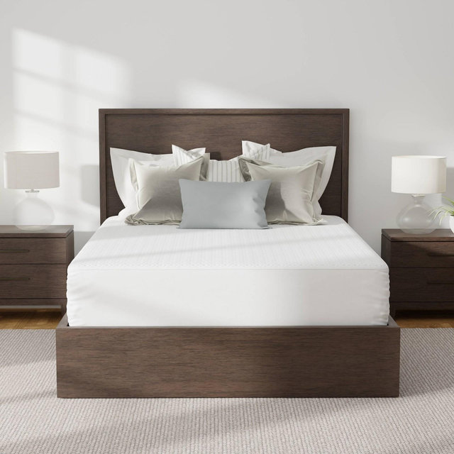 Allerease Queen Platinum Zip-Off Plush Top Waterproof Allergen and Bedbug Barrier Mattress Protector