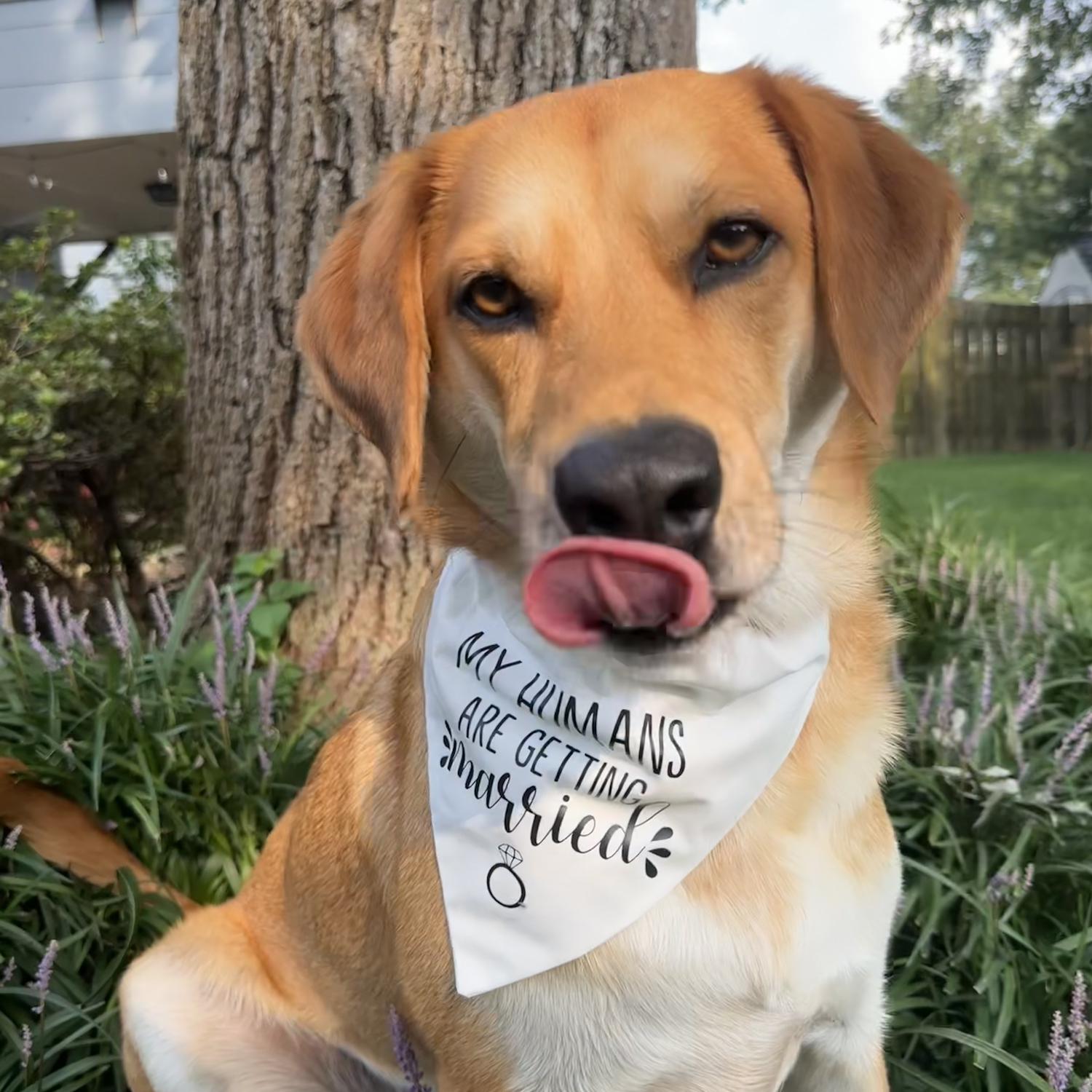 Our baby girl giving looks for her Save the Date shoot