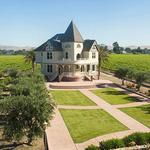 Concannon Vineyard
