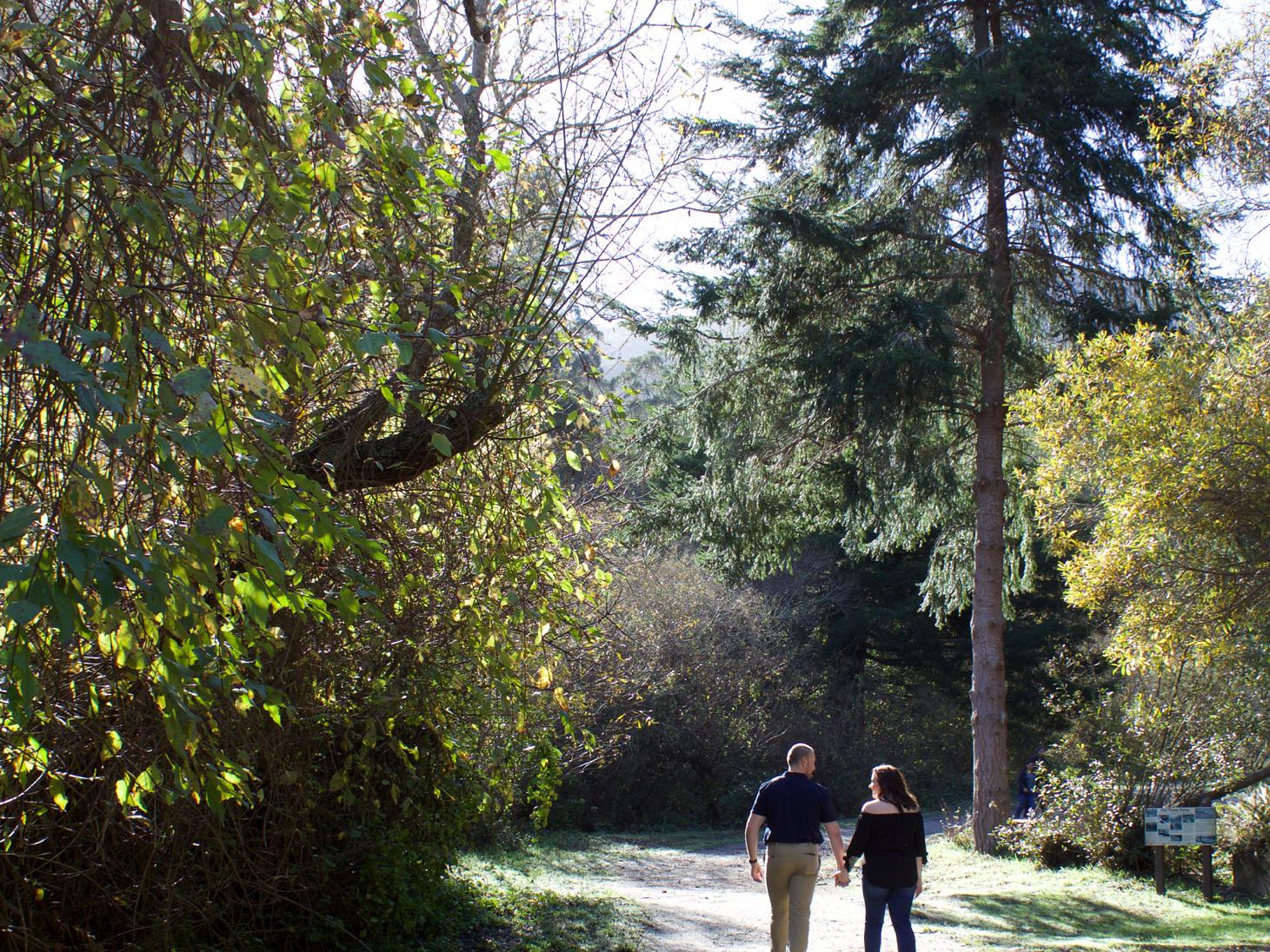 The Wedding Website of Kaitlin Campbell and Graeson Topper