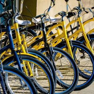Tasmania Bike Rentals (1 week)