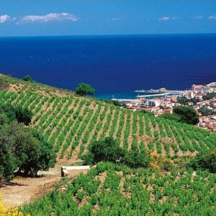 Languedoc-Roussillon wine region