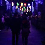 Nashville Zoo at Grassmere