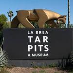 La Brea Tar Pits and Museum