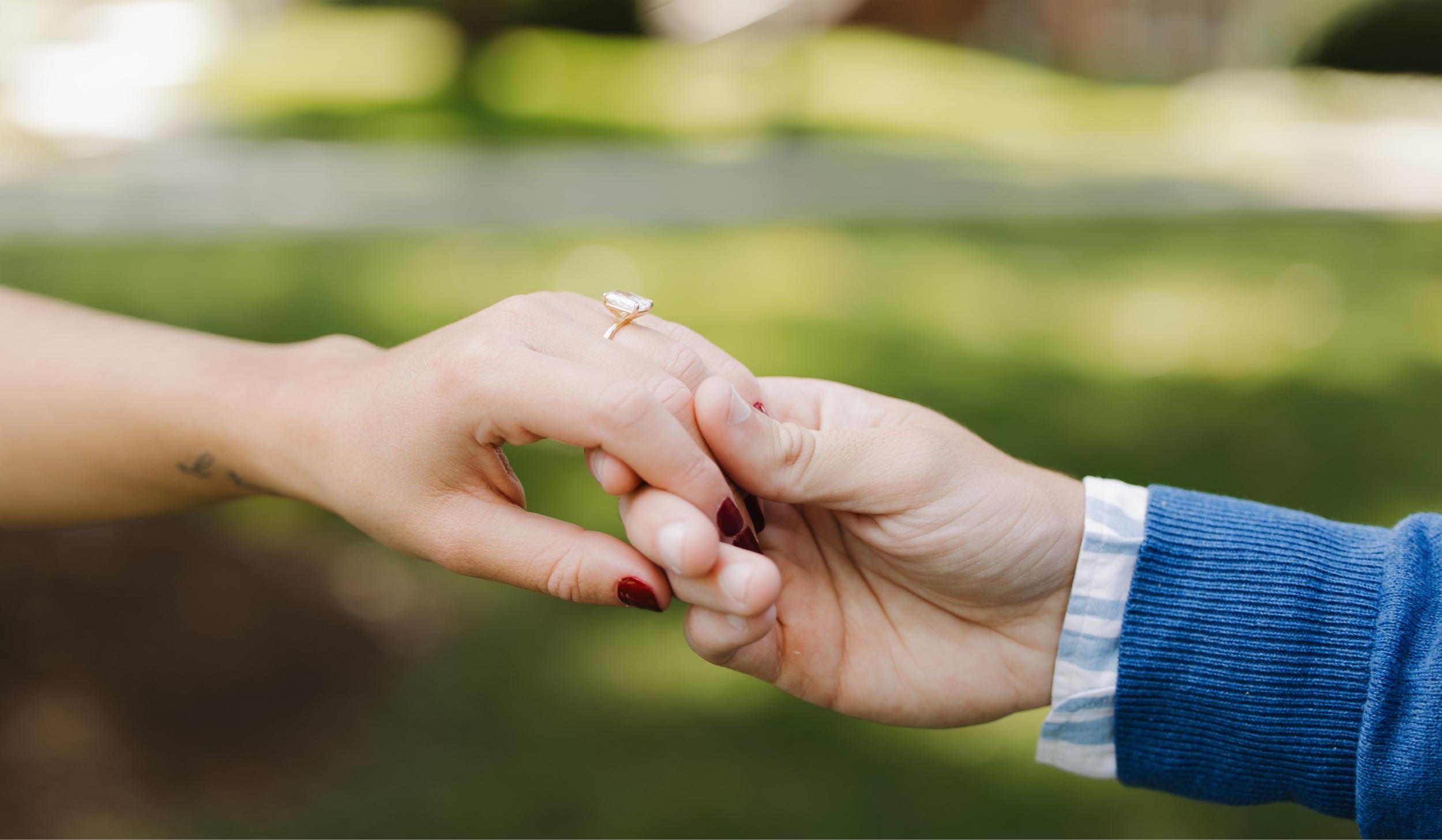 Hero Slideshow Image 5