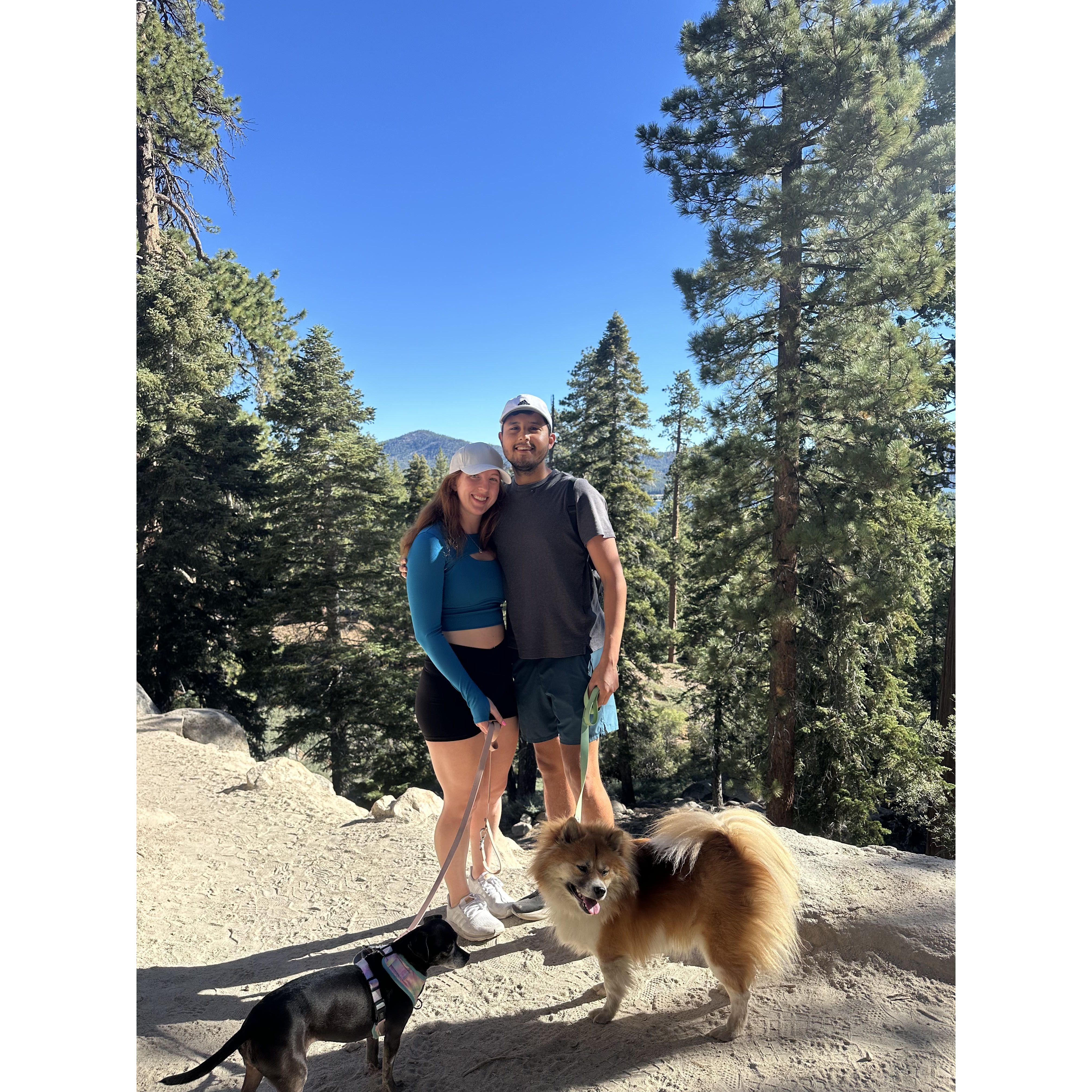 Took the dogs on their first vacation to Big Bear, California.