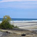 Pea Island National Wildlife Refuge