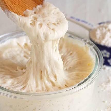 Sourdough Starter
