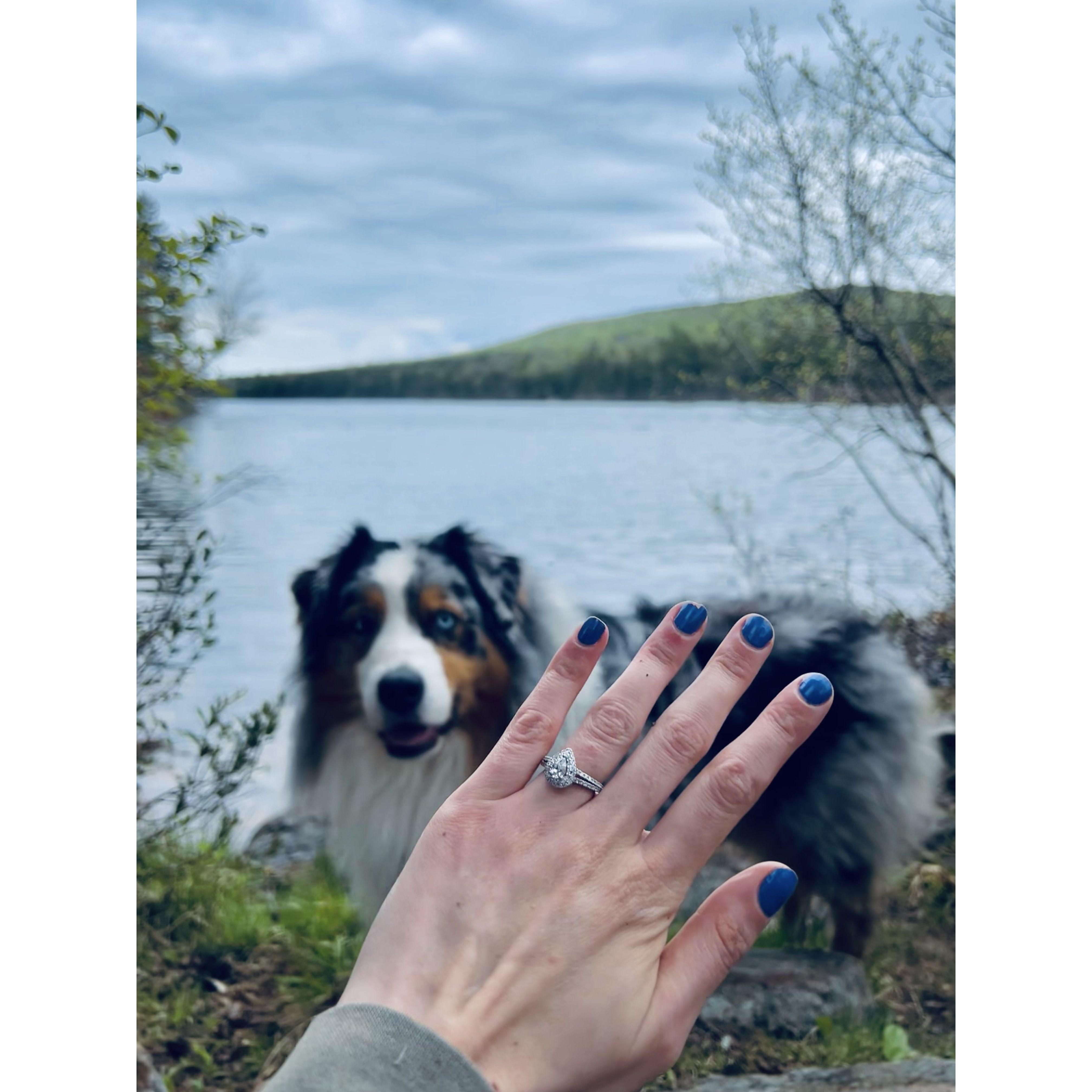 Engagement photos