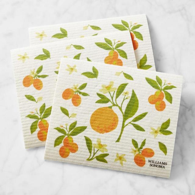 Citrus Sponge Dishcloth, Set of 3