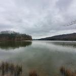 Haig Mill Lake Park