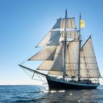 Argia Mystic Cruises