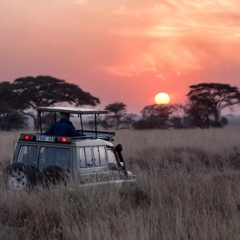 South African Safari Honeymoon Fund