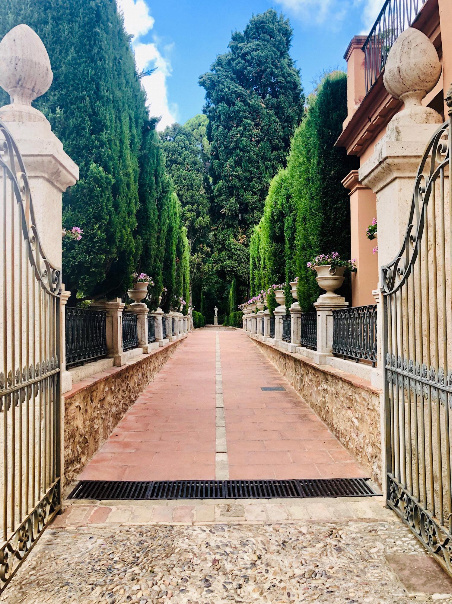 Jardín de Monforte, Valencia 08.19.19