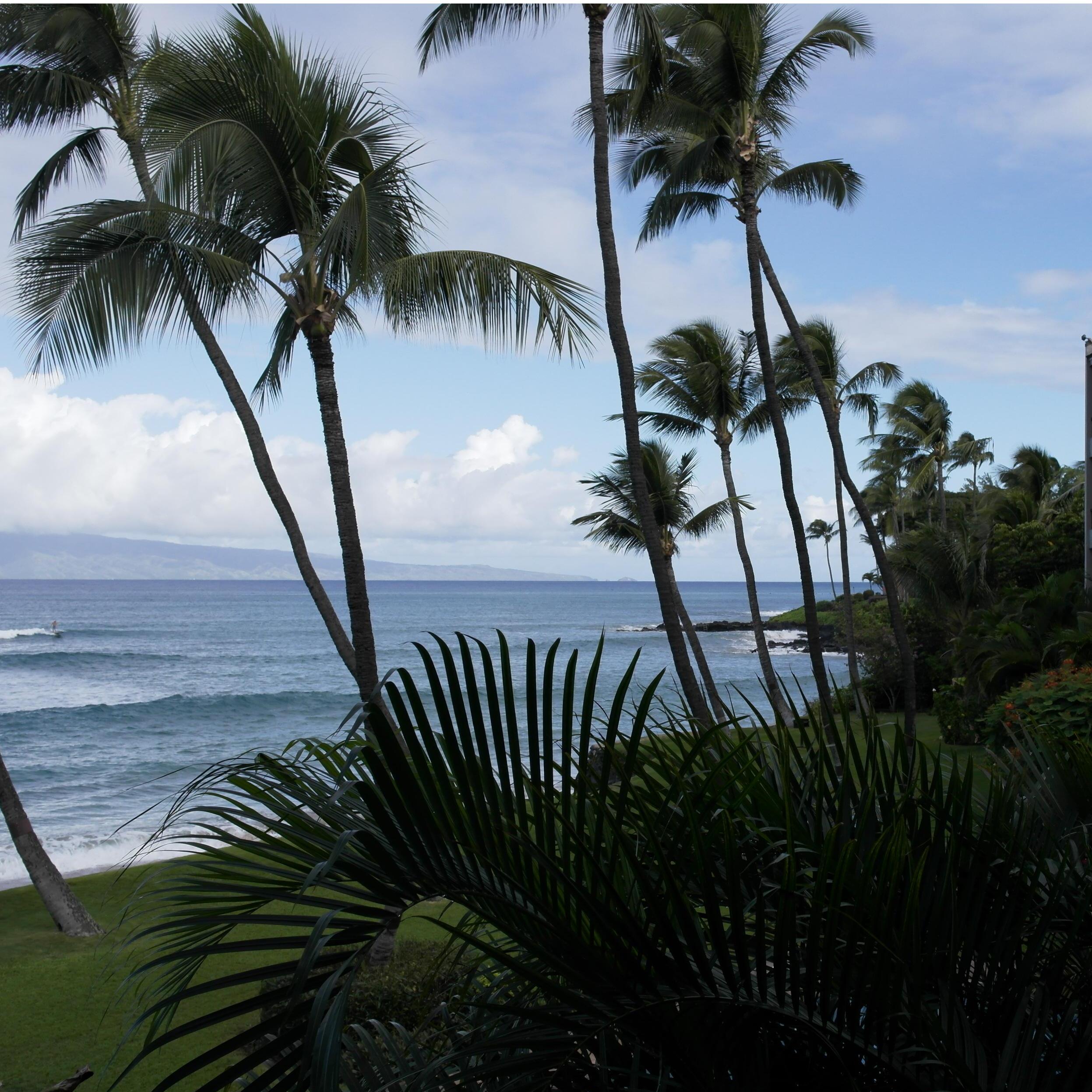 Maui - where Chris proposed