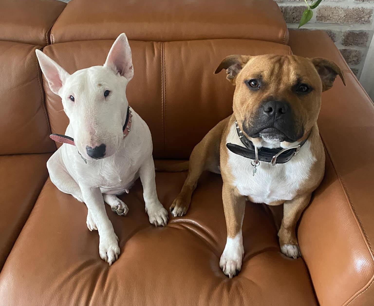 The Wedding Website of Christa Swana and Christopher Robert Ozols