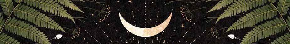 The Wedding Website of Patience Williams and Matthew Budurowich